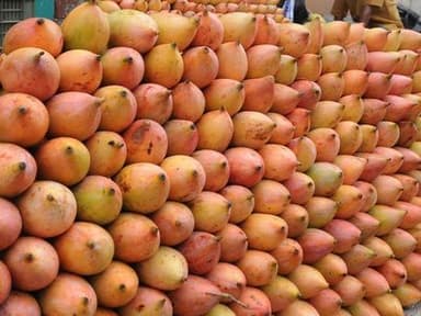 The Centre has approved procurement of copra and Totapuri mangoes in Tamil Nadu
