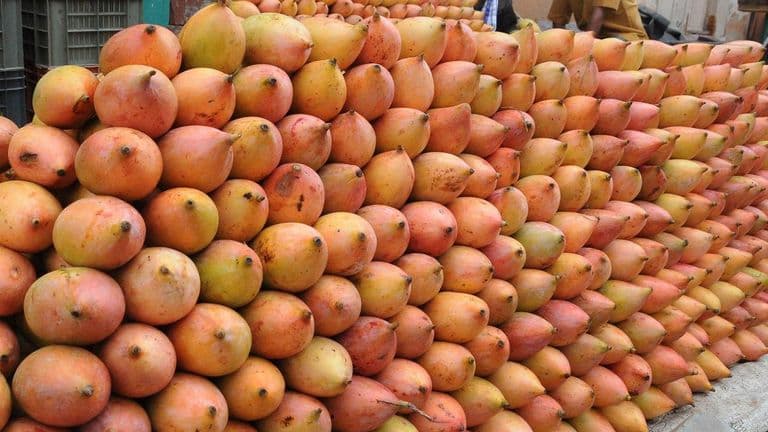 The Centre has approved procurement of copra and Totapuri mangoes in Tamil Nadu
